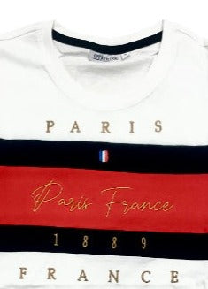 T-shirt bordada Paris França 🇫🇷 1889